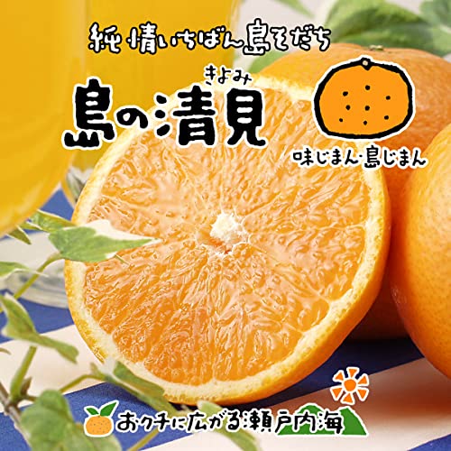清見オレンジ  1