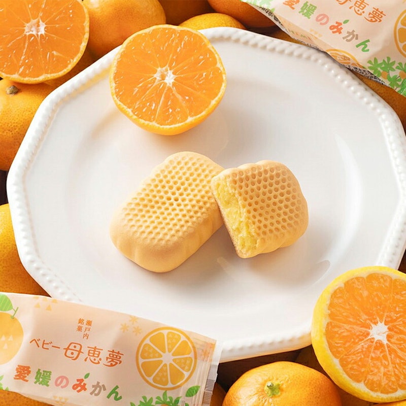 ベビー母恵夢 愛媛のみかん 4