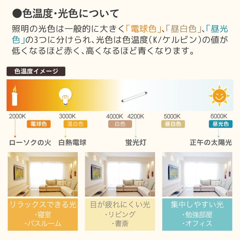 LED電球 8
