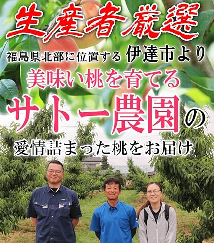 福島県産 伊達の桃 6
