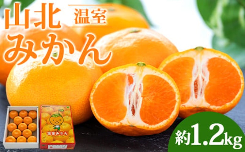 山北温室みかん 1