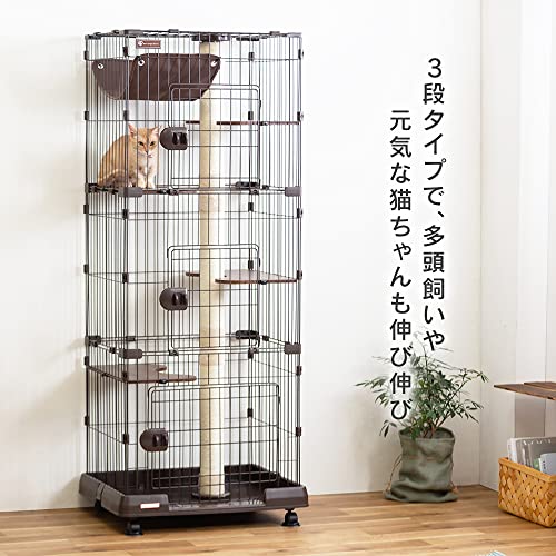 キャットランドケージ 3