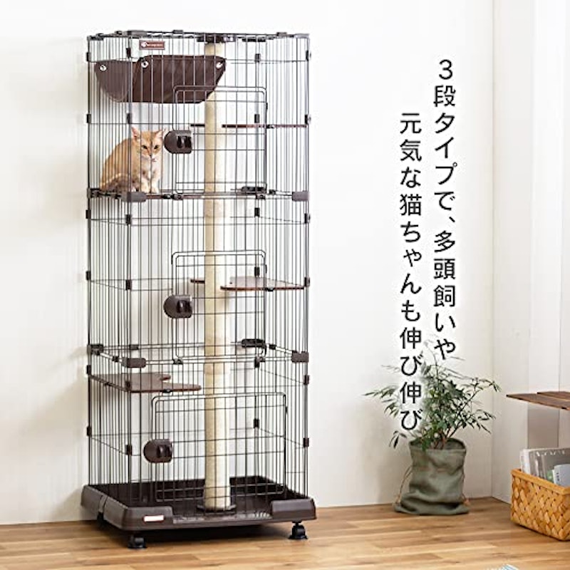キャットランドケージ 3