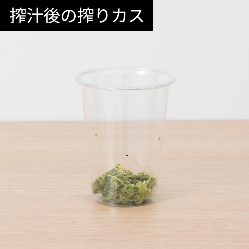 スロージューサー 13