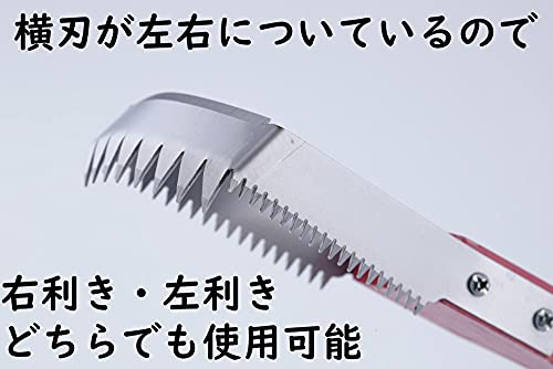 ラク〜に草取り 3