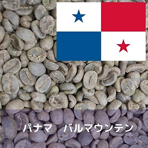 パナマ バルマウンテン Qグレード 2