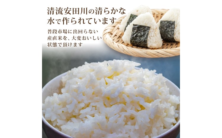 令和8年産  安田町産ヒノヒカリ 5kg 3
