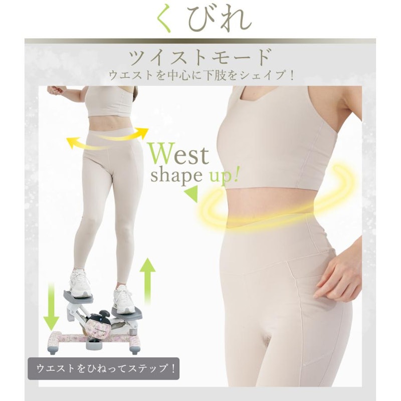 ツイストエアロステッパー Premium 10
