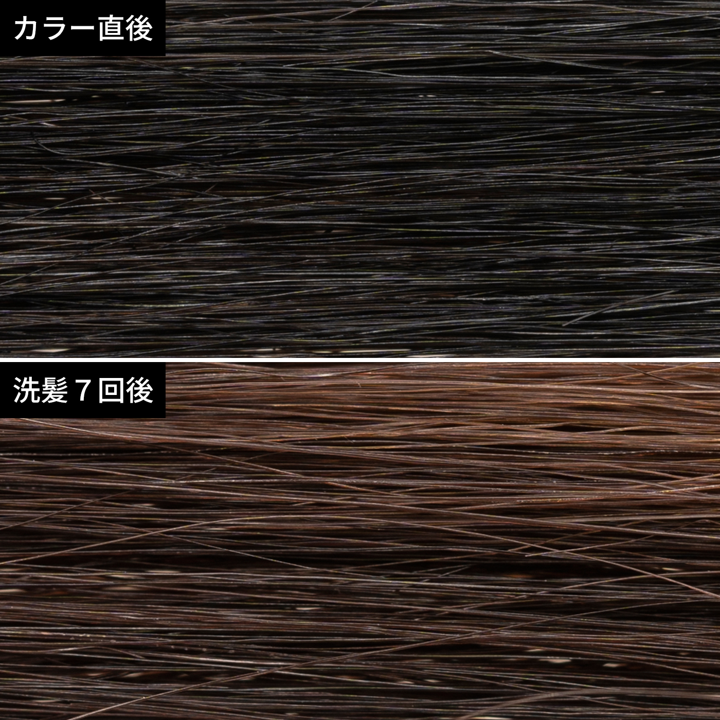 21年 黒染めのおすすめ人気ランキング9選 徹底比較 Mybest