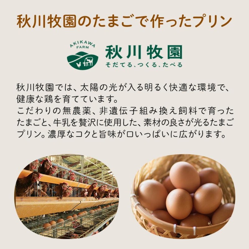 名入れプリンと動物ドーナッツのギフトセット 4