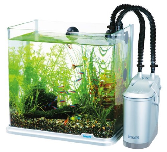 金魚用フィルターのおすすめ人気ランキング10選 水をろ過してキレイに Mybest 金魚用フィルターのおすすめ人気ランキング10選 水をろ過してキレイに Mybest