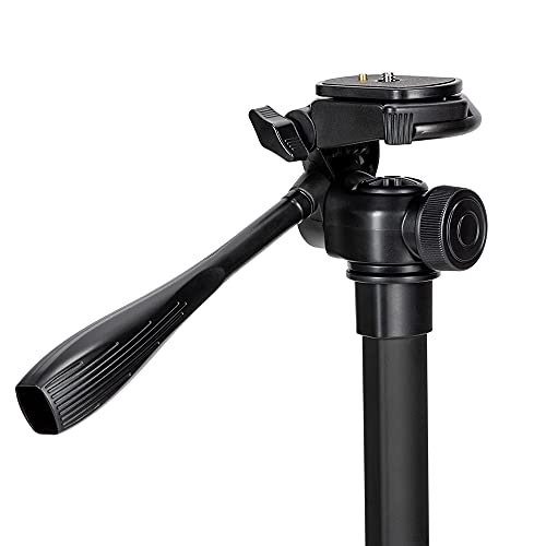 一脚のおすすめ人気ランキング【2025年10月】 | マイベスト