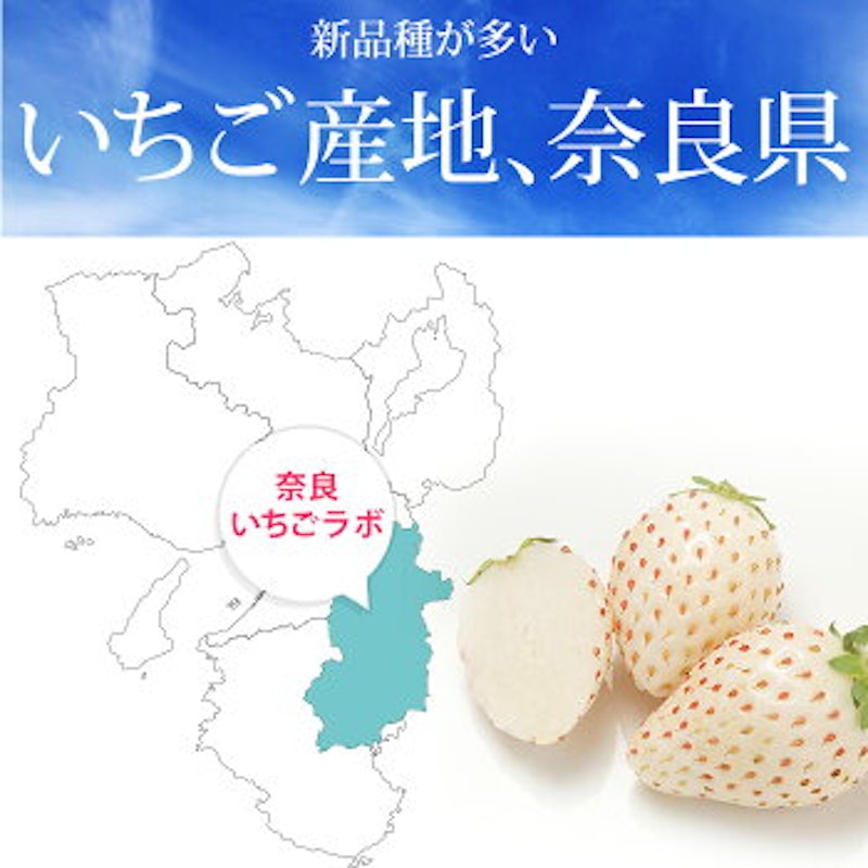 三色いちご 金色玉手箱 6