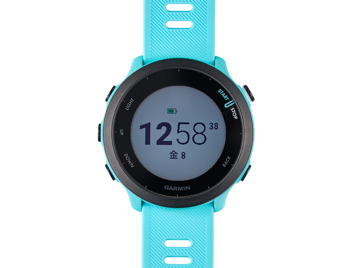 Garmin Forerunner 55 水色 充電ケーブル付き Garmin Forerunner 55 水色 充電ケーブル付き