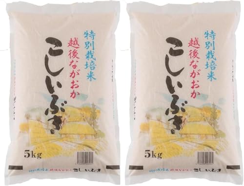 こしいぶき 1
