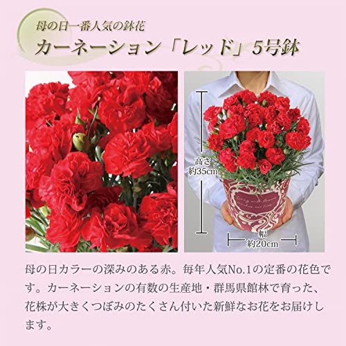 花とスイーツセット 3