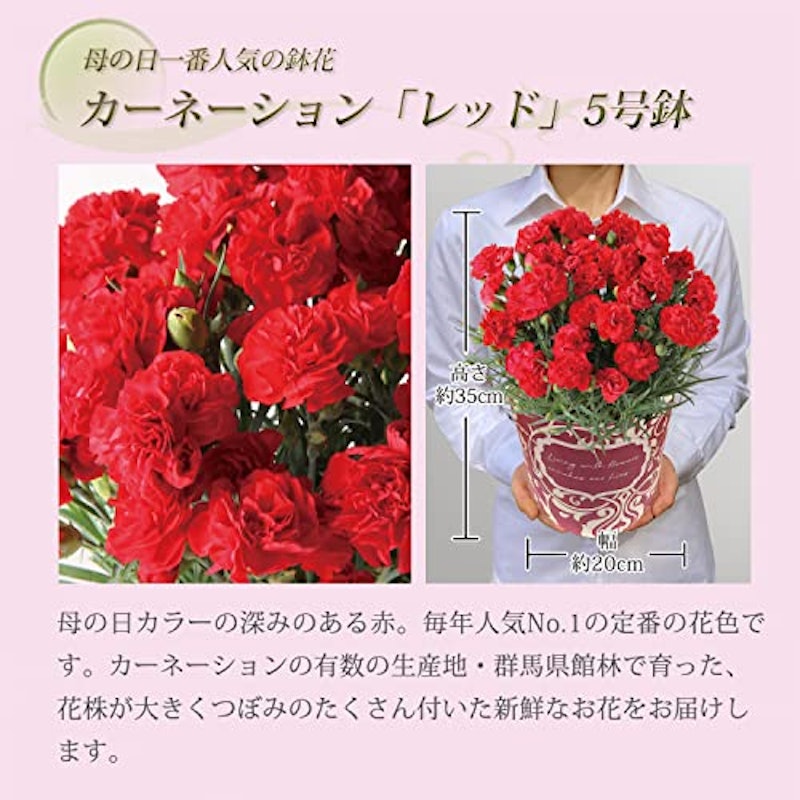 花とスイーツセット 3