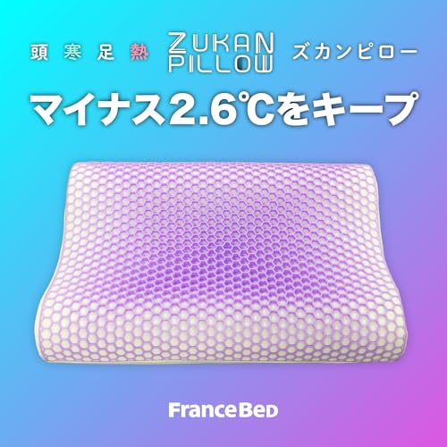 ZUKAN頭寒ピロー 2