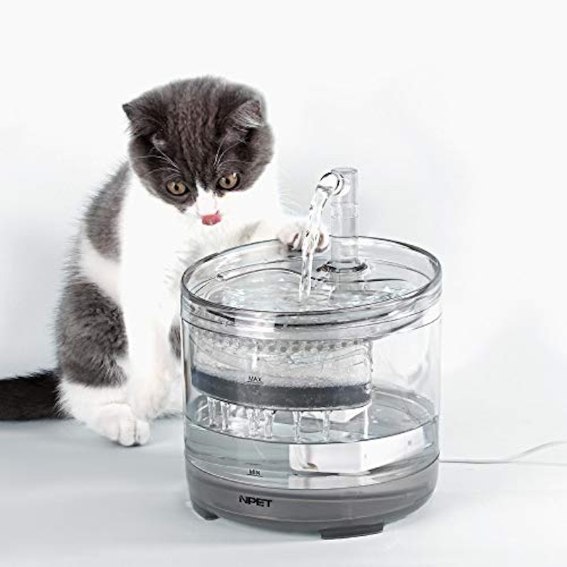 21年 猫用自動給水器のおすすめ人気ランキング14選 Mybest 21年 猫用自動給水器のおすすめ人気ランキング14選 Mybest