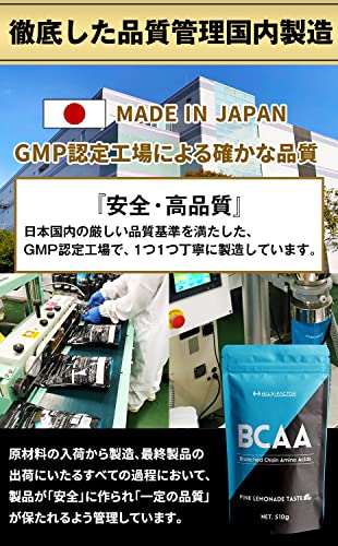 ハルクファクター BCAA 6
