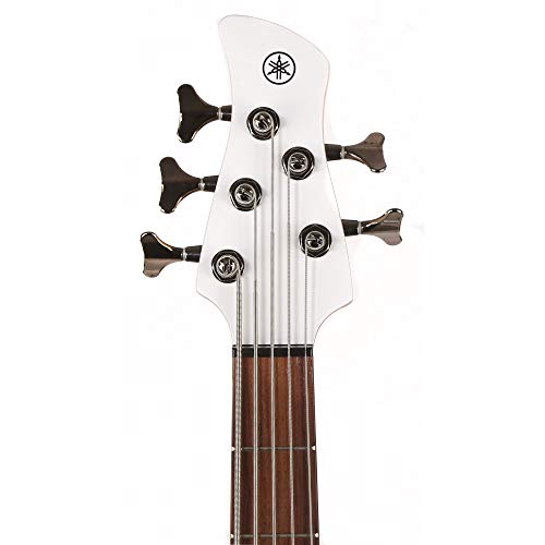 TRBX305 5