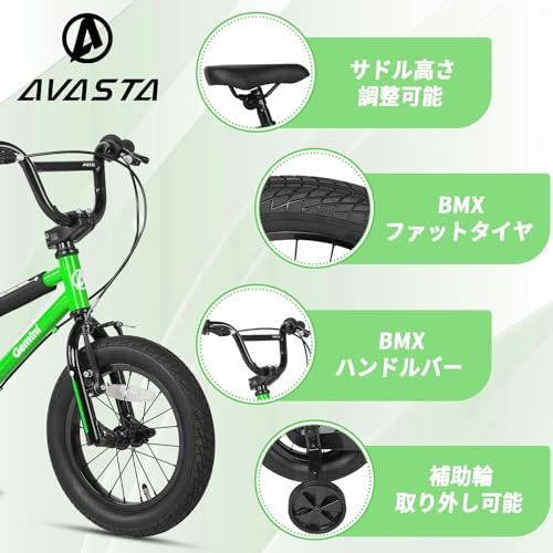 Gemini 子供用BMX自転車 3