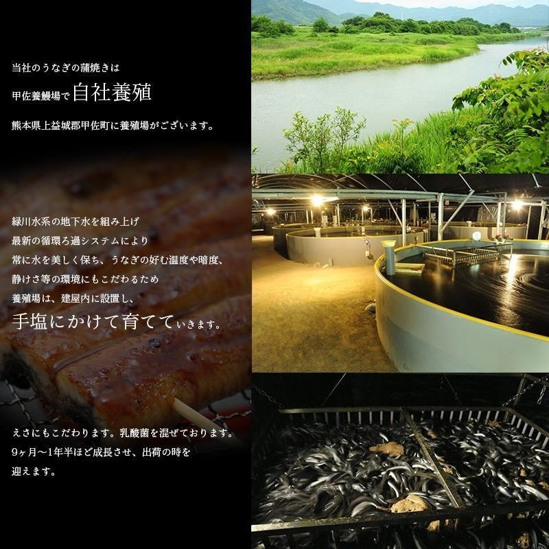 うなぎ蒲焼き 3