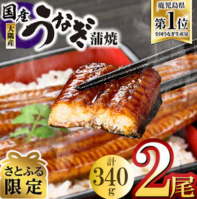 鹿児島県大隅産うなぎ蒲焼 1