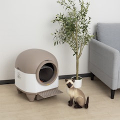 猫 自動トイレ