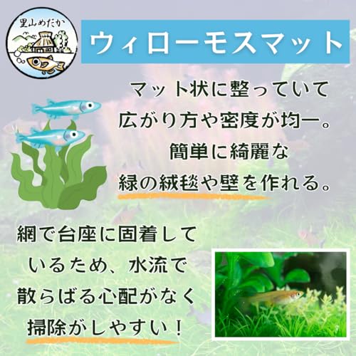 ウィローモスマット 3
