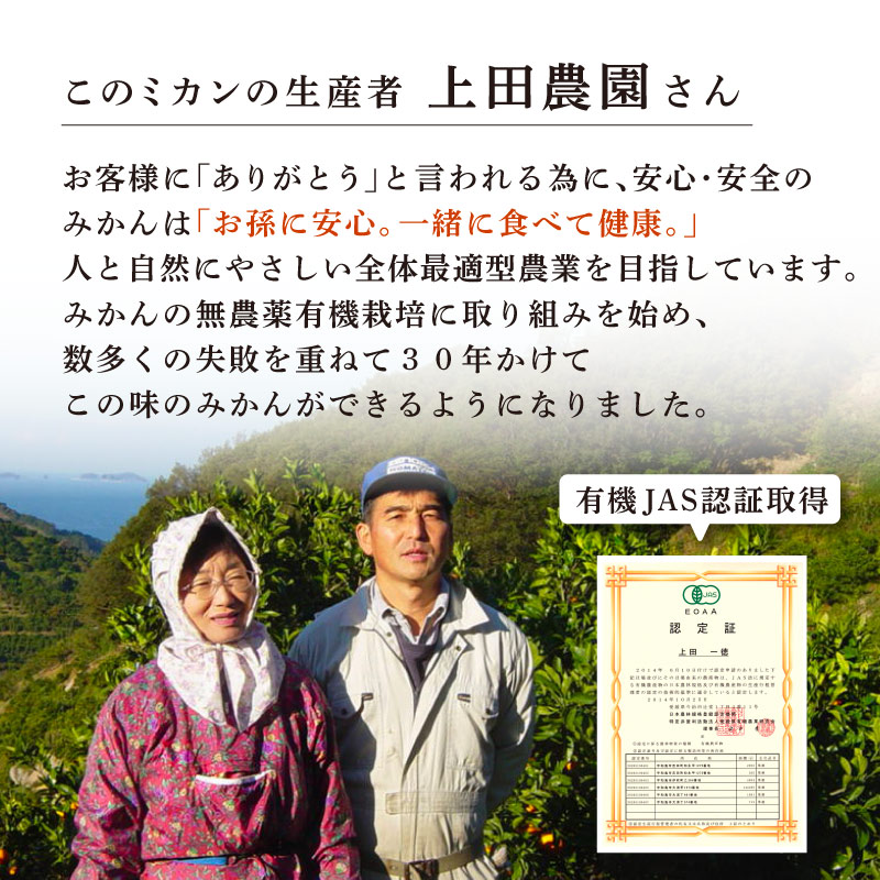 うえださん家の有機みかん 6