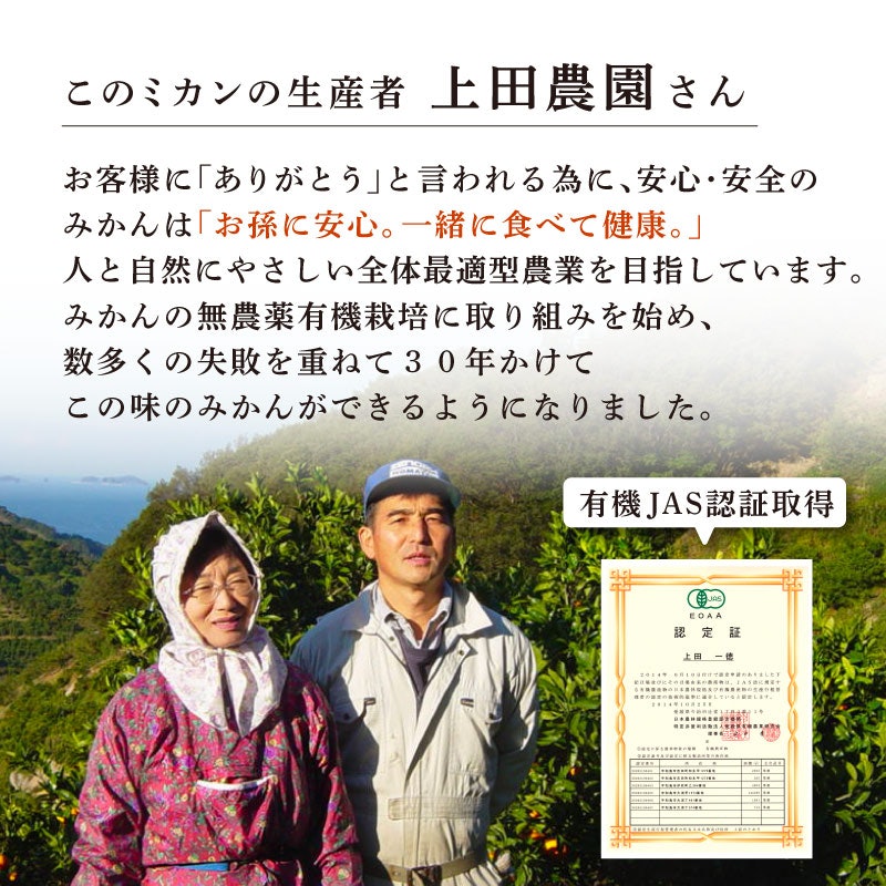 うえださん家の有機みかん 6