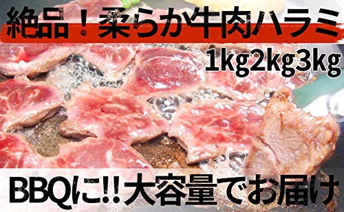 牛肉ハラミ焼肉 3