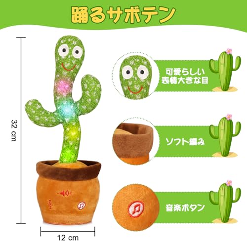 踊るサボテン 3