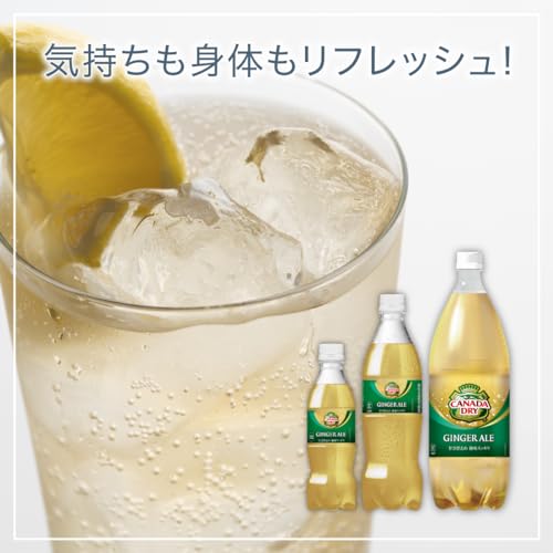 ジンジャーエール 4
