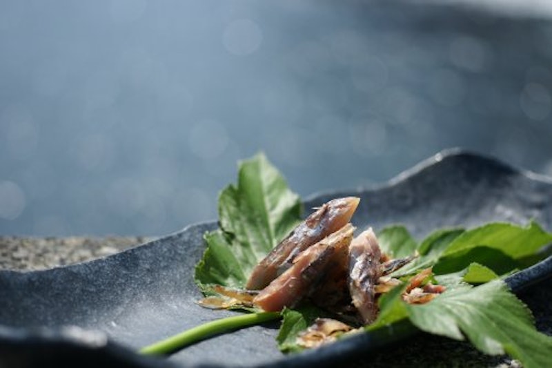 青むろ鯵 焼くさや 2