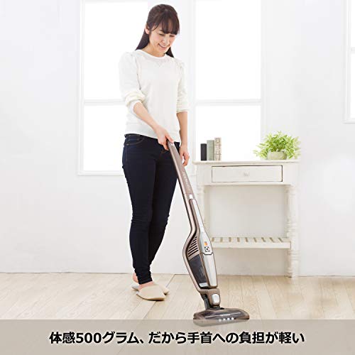 エルゴラピード リチウム 7