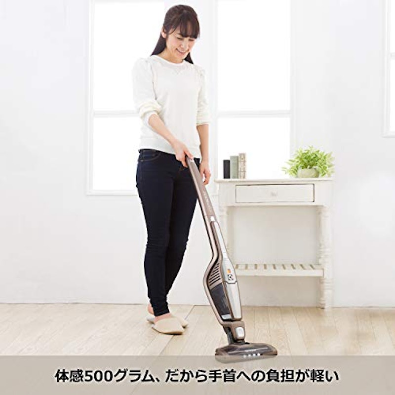 エルゴラピード リチウム 7