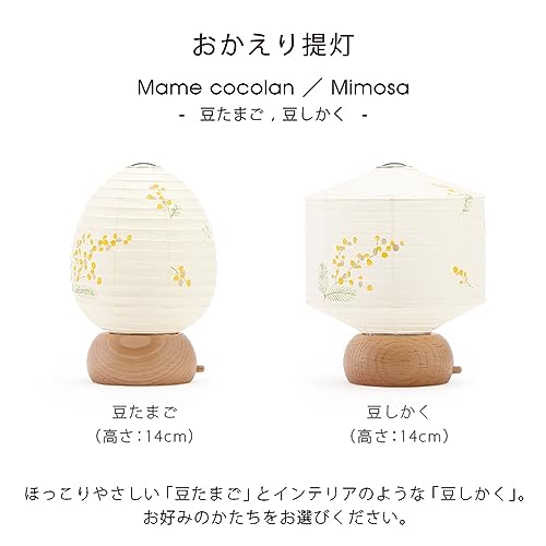 おかえり提灯　ミモザ 3