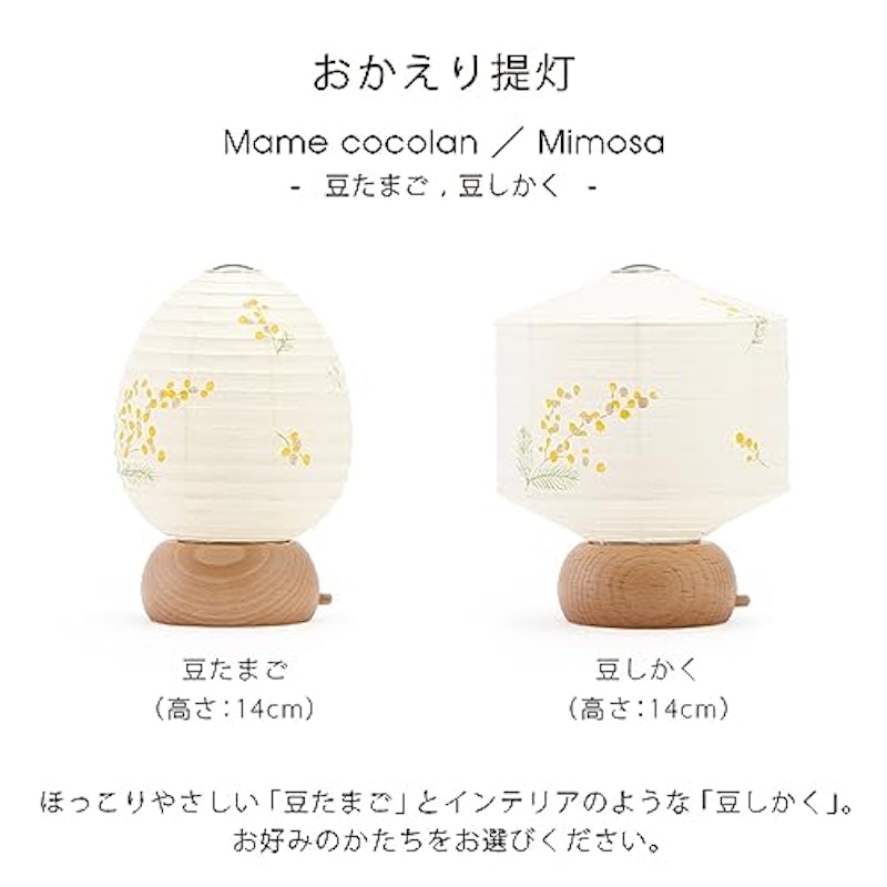おかえり提灯 ミモザ 3