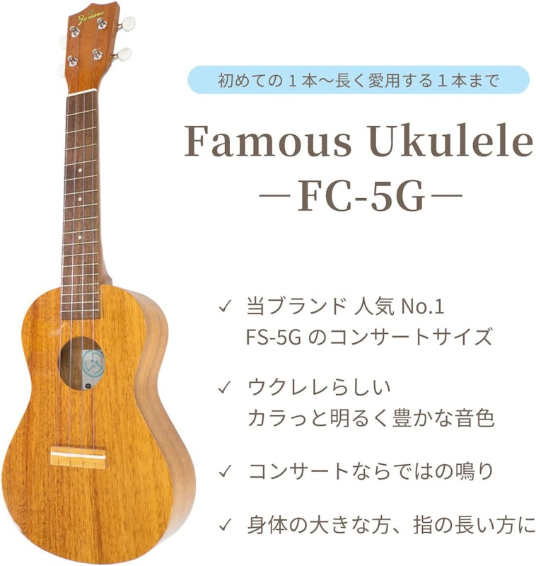 ウクレレ 初心者10点セット 2