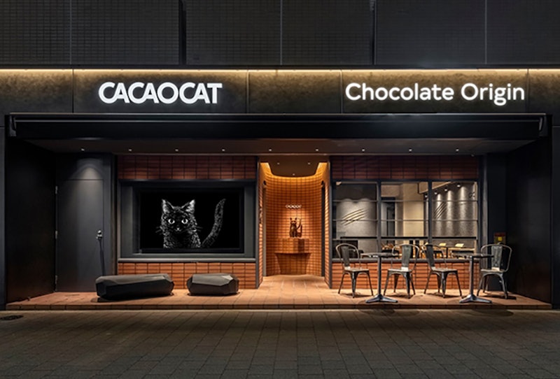 CACAOCAT 白金台 1