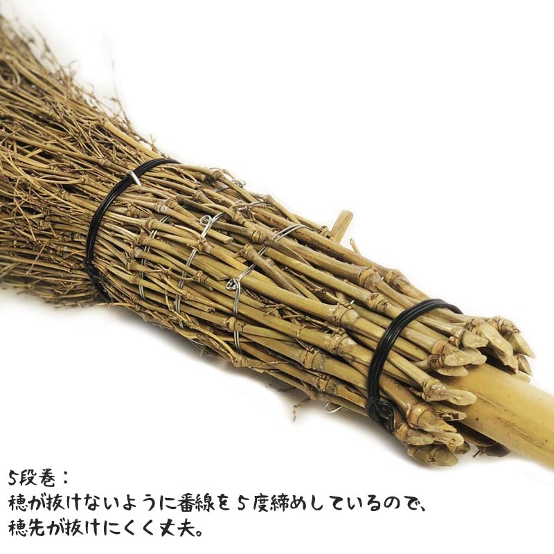 竹箒 2