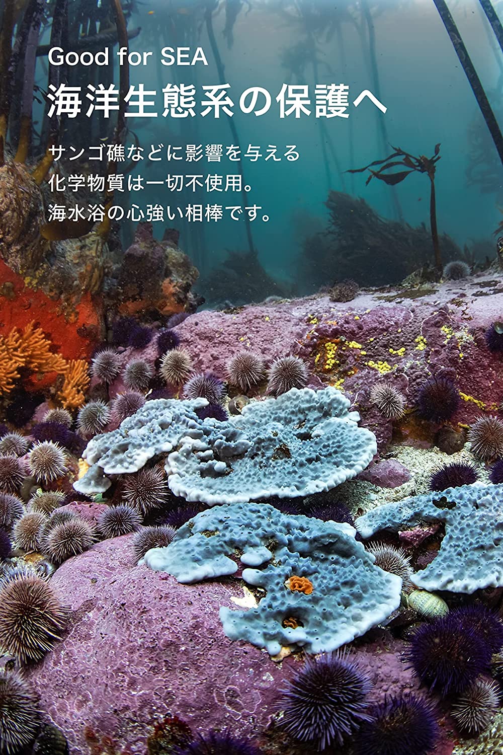 ノンケミカルUVミルク 7