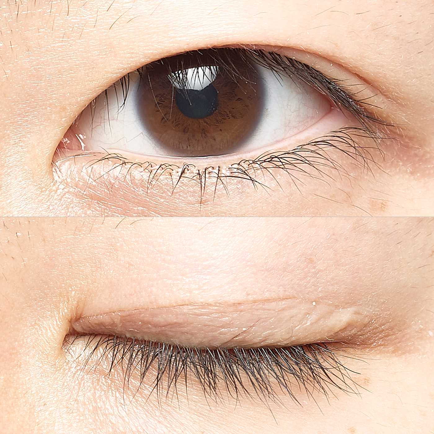 ローヤルアイムを全商品と比較 口コミや評判を実際に使ってレビューしました Mybest