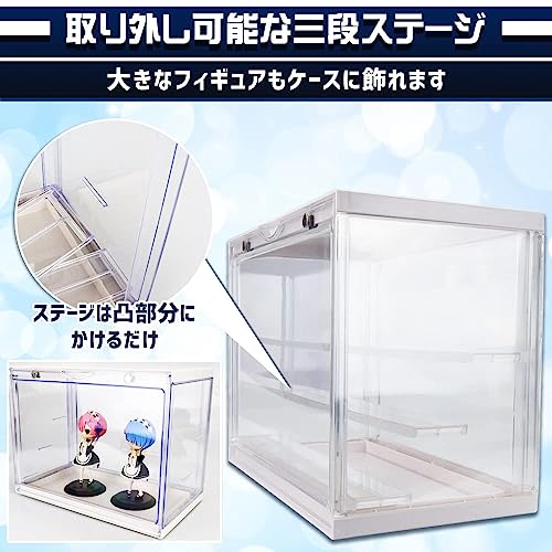 コレクションケース(未使用) 起た 