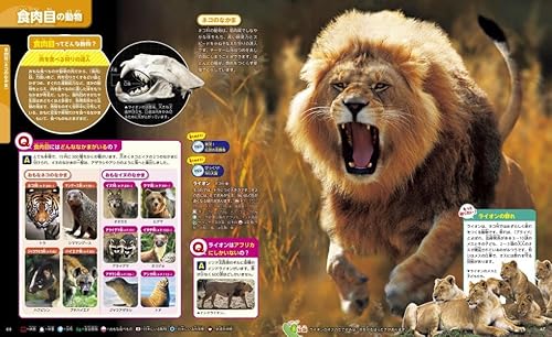 動物　新訂二版 6