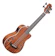 KALA UBass ウクレレベース 1