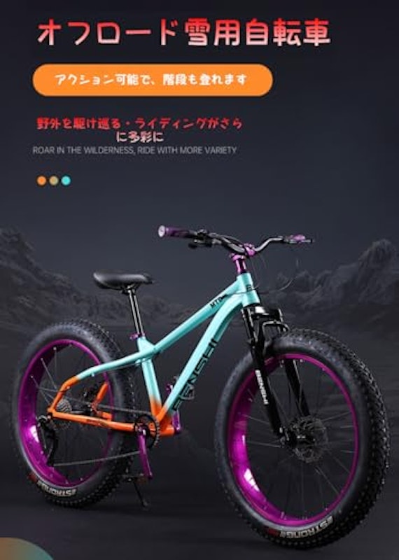 ファットタイヤバイク 2