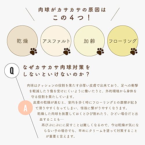 アルガン肉球ケアクリーム  6